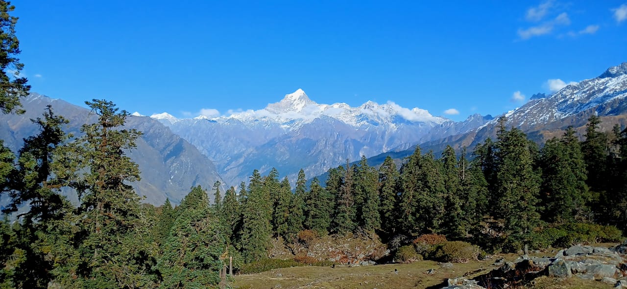 Majestic snow-capped Himalayan peak overlooking lush pine forests and rocky terrain under a bright blue sky — a breathtaking view from Himachal Pradesh, India.